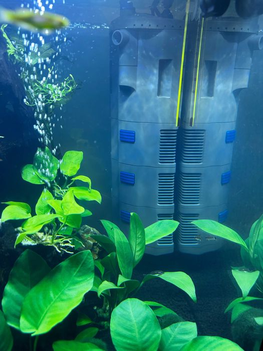 Oase BioPlus Thermo 200 - używany dwa tygodnie - gwarancja