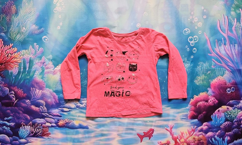Bluza i 3 bluzeczki koszulki z długim rękawem r. 110