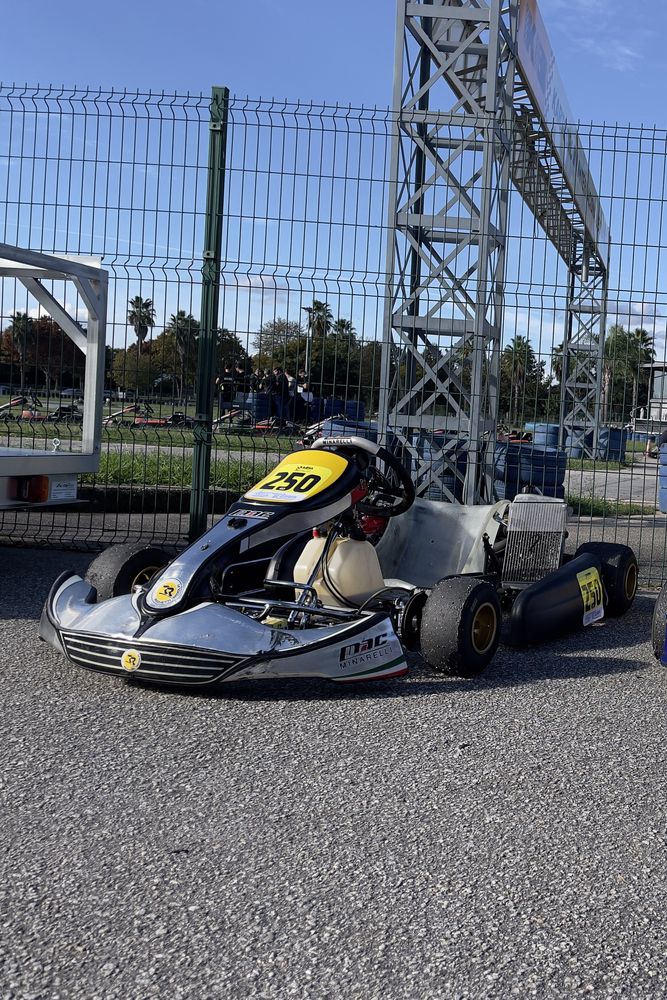 Karting Minarelli DD2 rotax evo