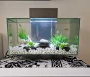 Vendo aquario fluval edge 23 litros em excelente estado