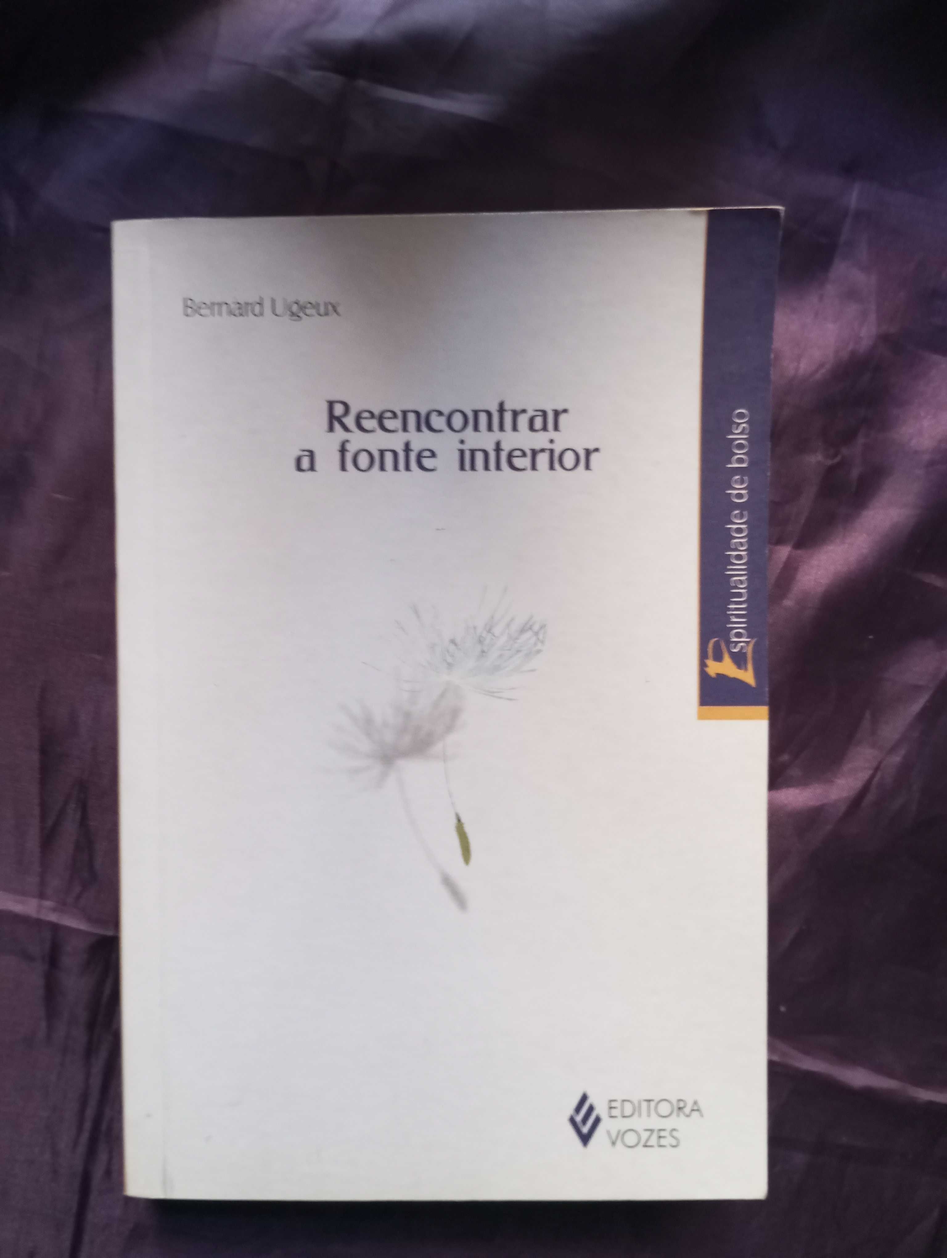 Reencontrar a Fonte Interior - Bernard Ugeux