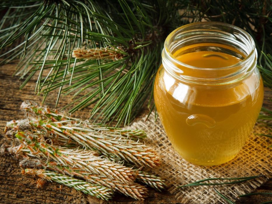 Syrop z pędów sosny 3 razy 500 ml