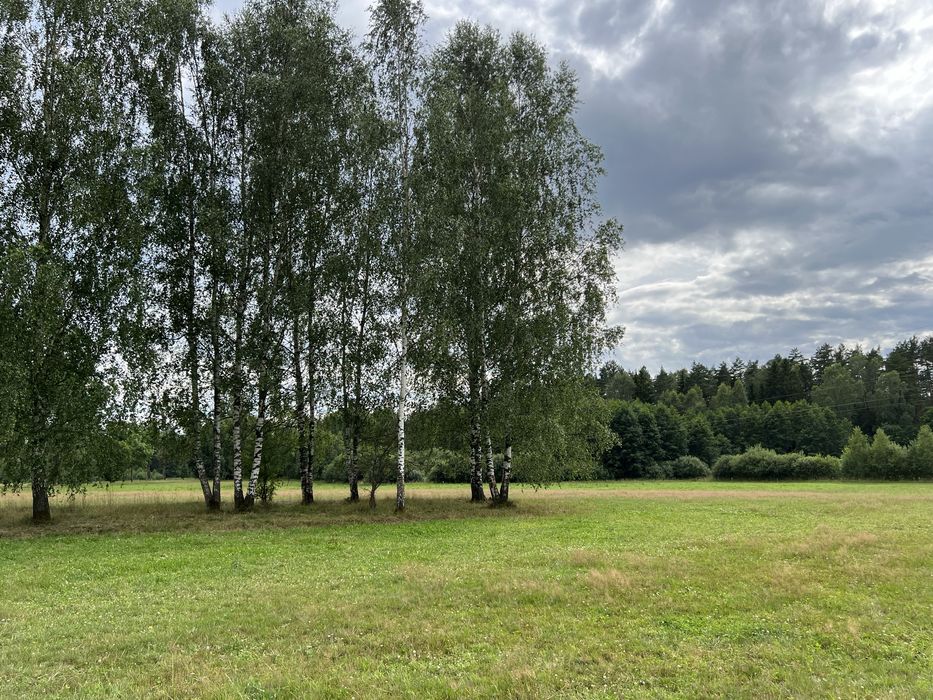 Działka rolno-siedliskowa na Warmii