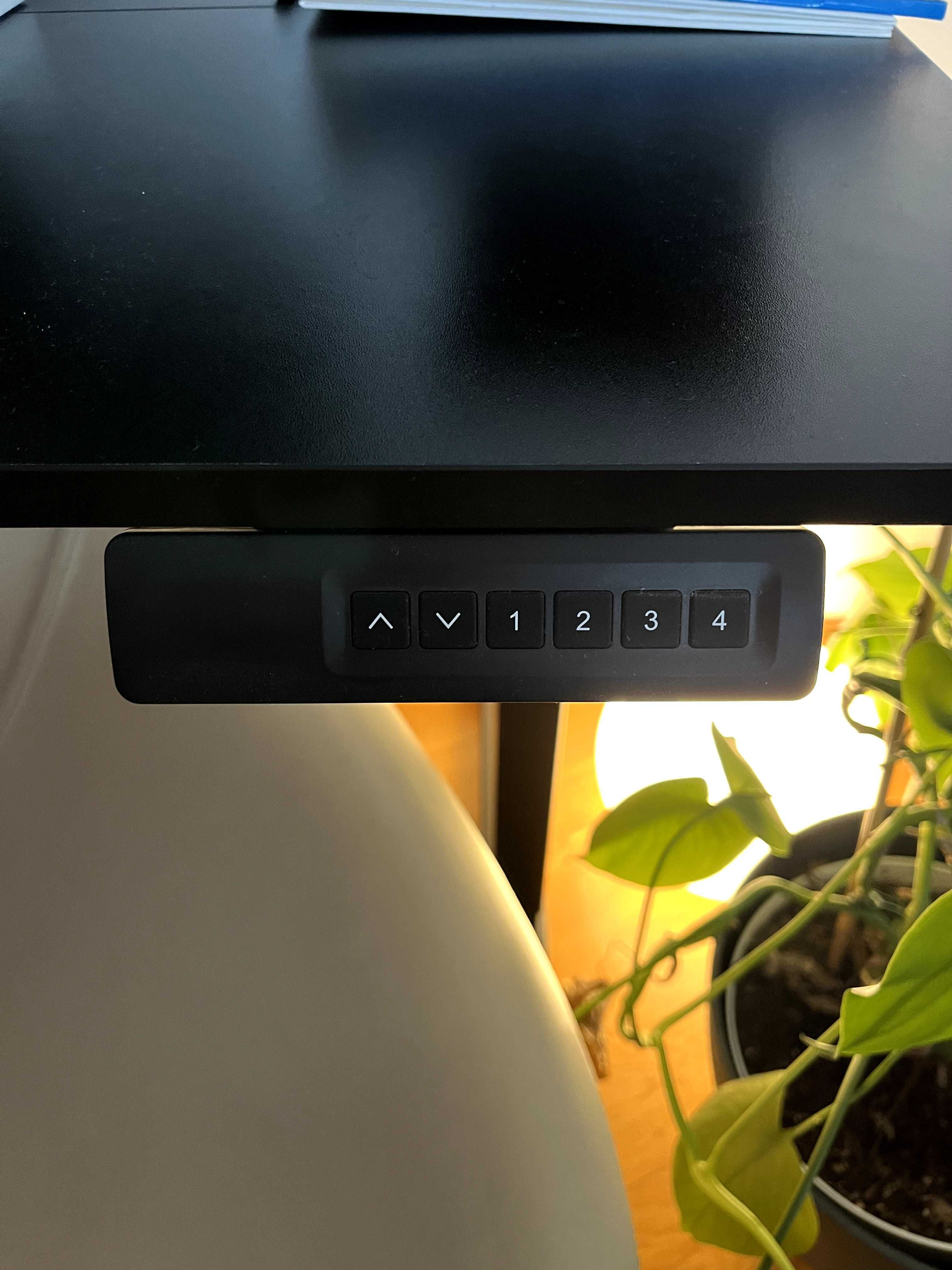 Adjustable standing desk for home office