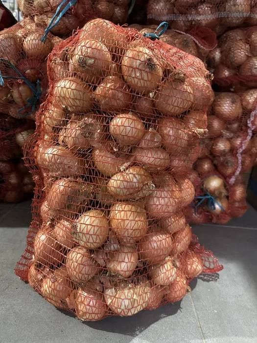 Продам (Цибуля домашня)