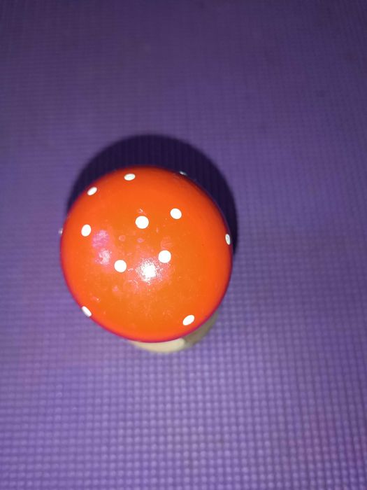 Дерев'яний гриб-горіхокол