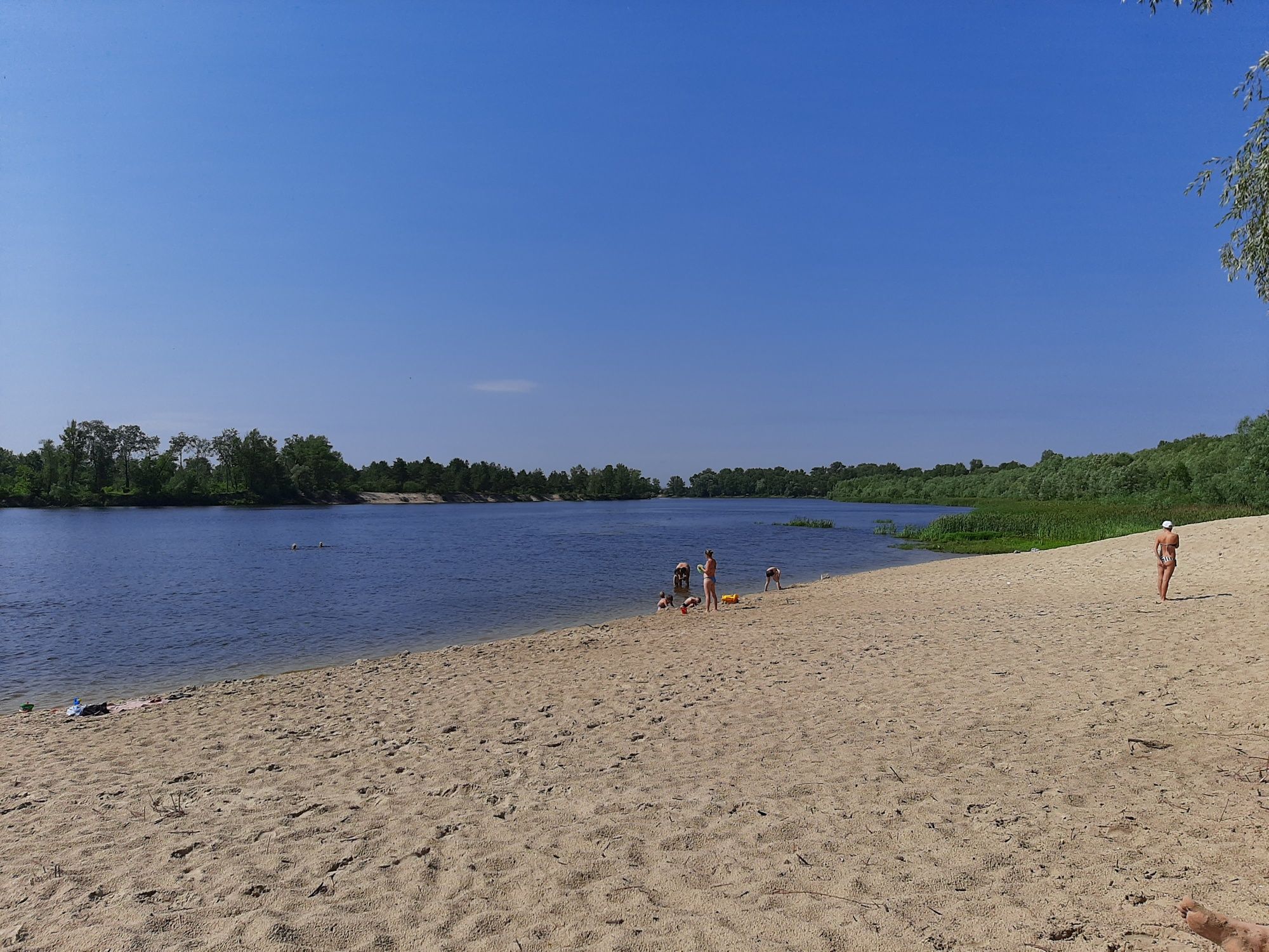 ЄкоДача/Сауна/Басейн/Альтанки/ Є варіанти!