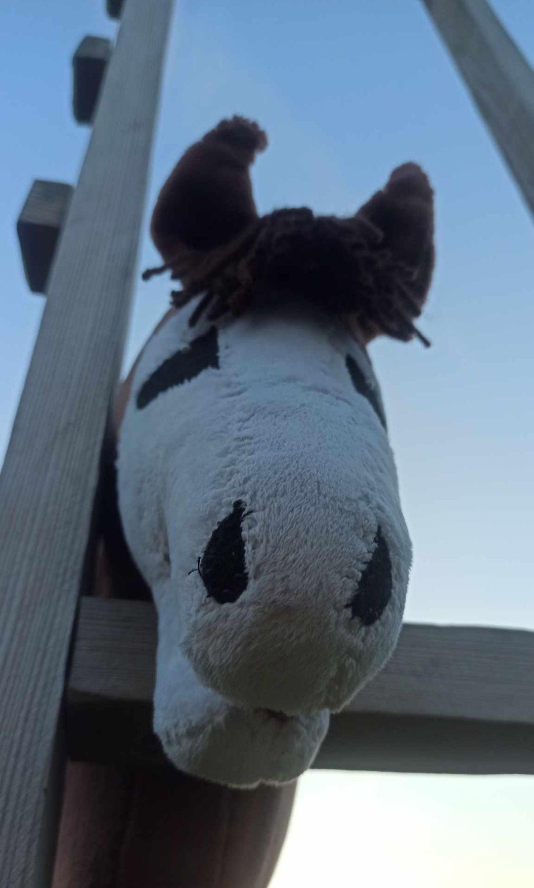 Hobby horse a4 gniady