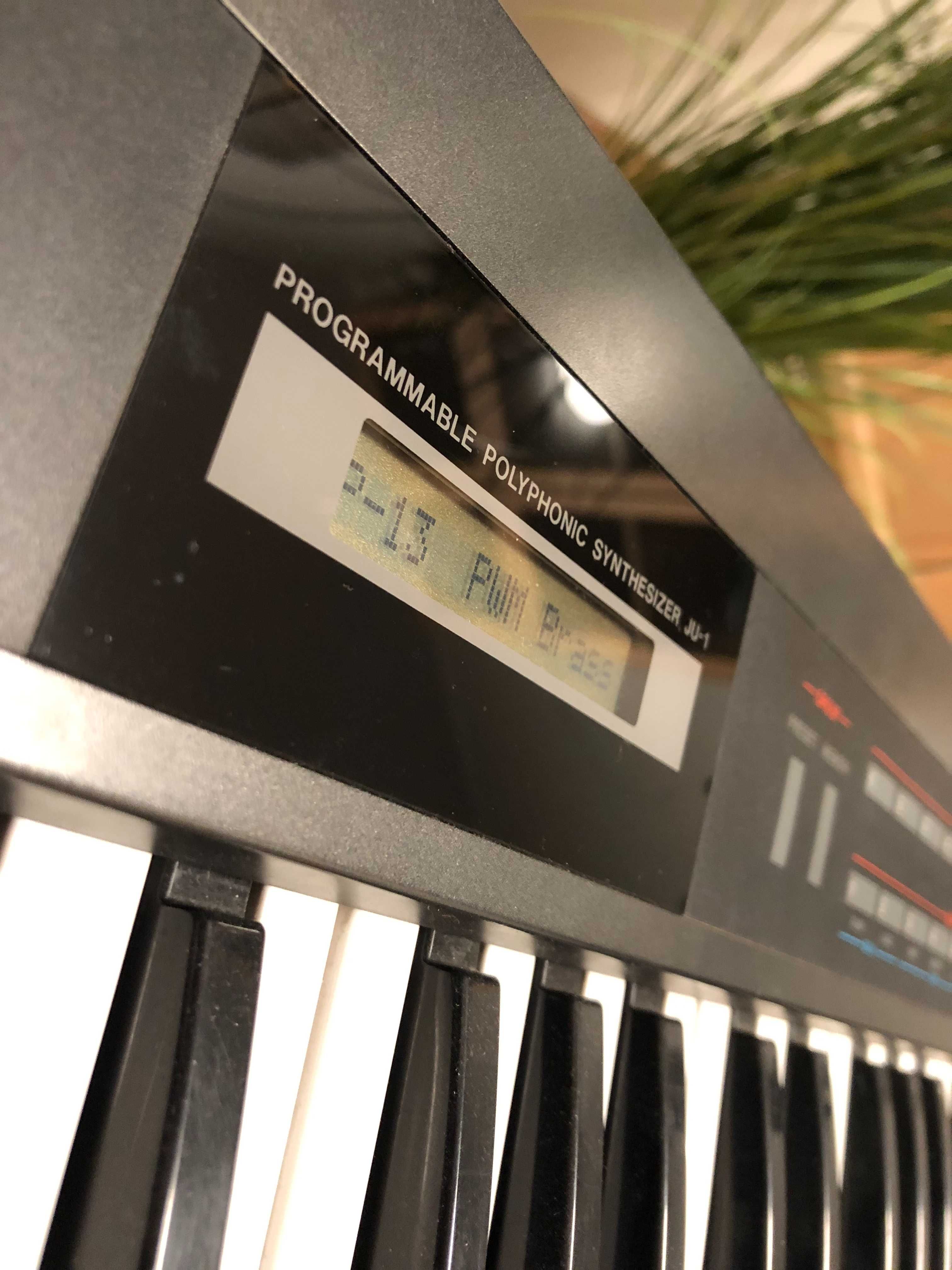 Roland Alfa Juno 1 Syntezator analogowy unikat stan kolekcjonerski