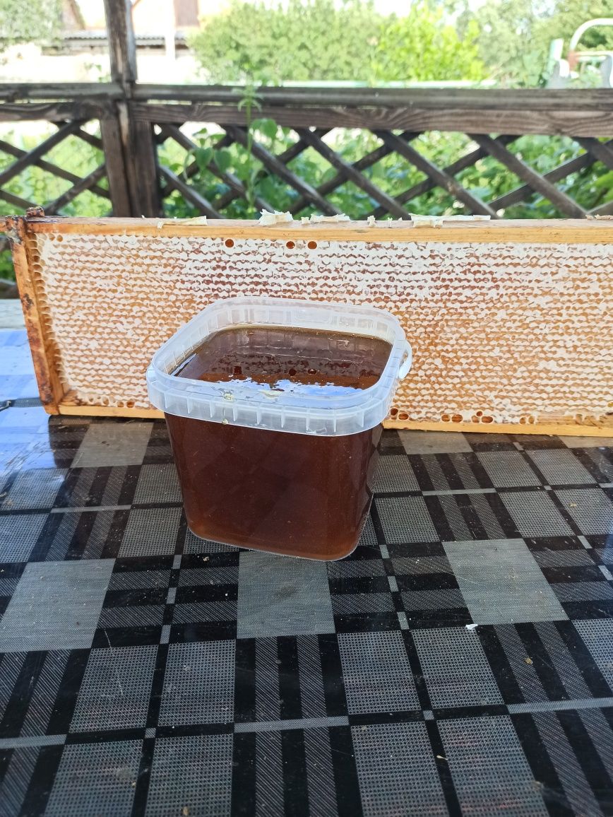 Продам лісовий мед (різнотрав'я)