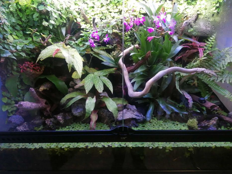 Terrário ExoTerra 90 mais móvel