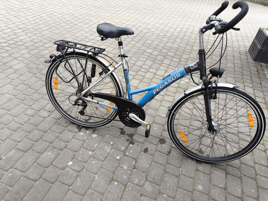 Rower  męski Pegasus