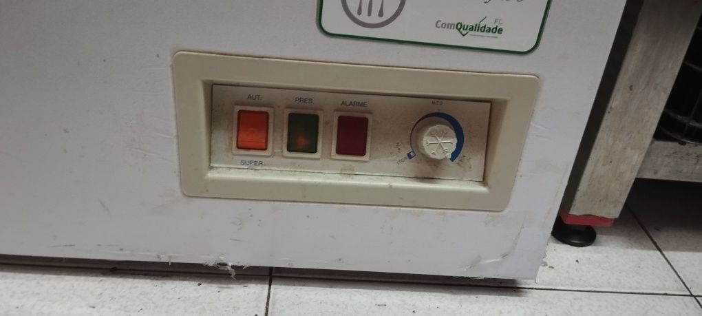 Arca congeladora grande