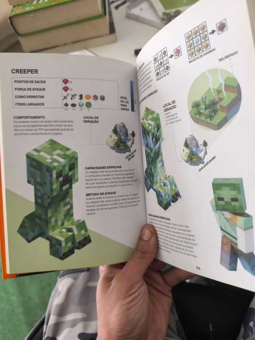 Livro Minecraft guia de sobrevivência
