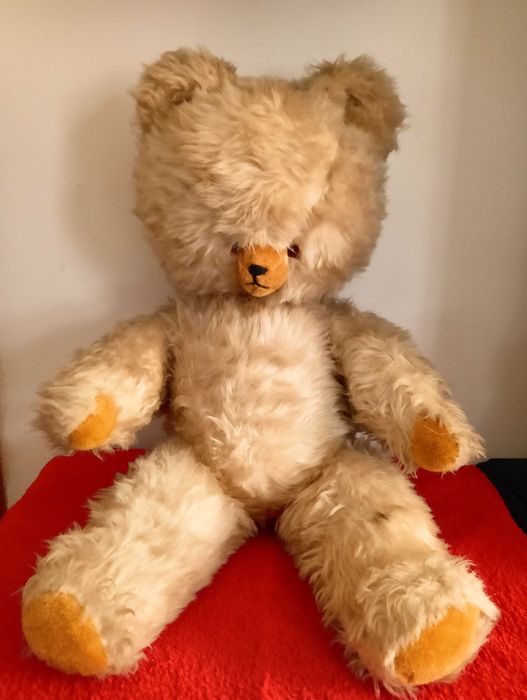 Miś, maskotka, trociniak, stary