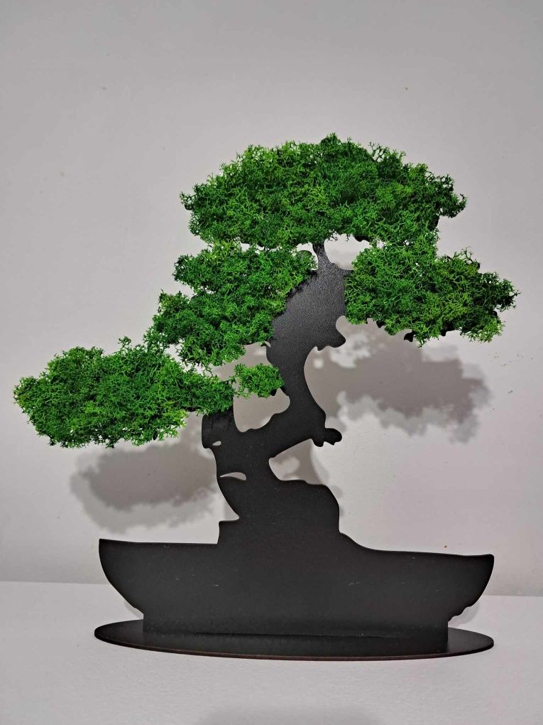 Drzewko Bonsai wolnostojace z mchem chrobotkiem