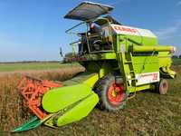 claas  dominator 38