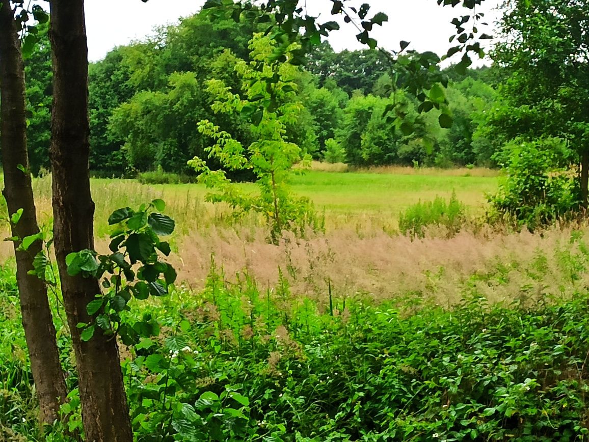 Okazja działka 4100 metrów nad Pilicą