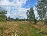 Продаж ділянки 12сот під садівництво. В оточені хвойного лісу. ID:462