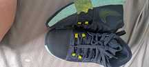 Nike lebron james whitnes 8