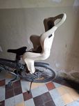 Fotelik rowerowy