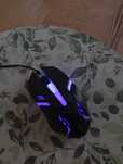 Myszka T-wolf colorful light