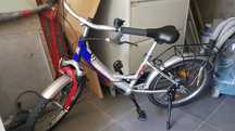 Rower Pegasus 20"