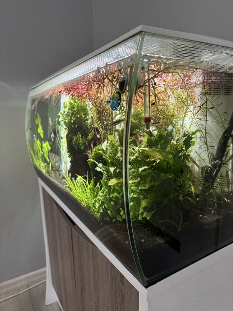 Akwarium Fluval 128l - Full Zestaw