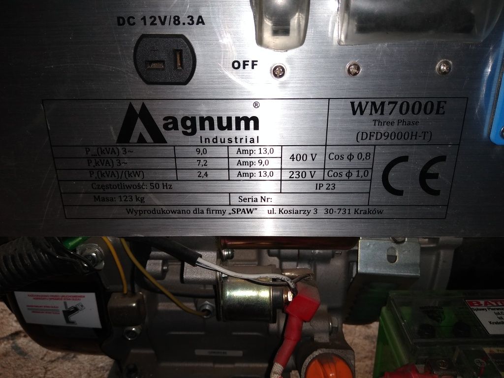Agregat Magnum dfd9000ht