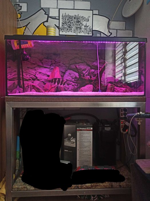 Akwarium z całym wyposażeniem