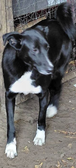 В добрі ручки гарна дівчинка.