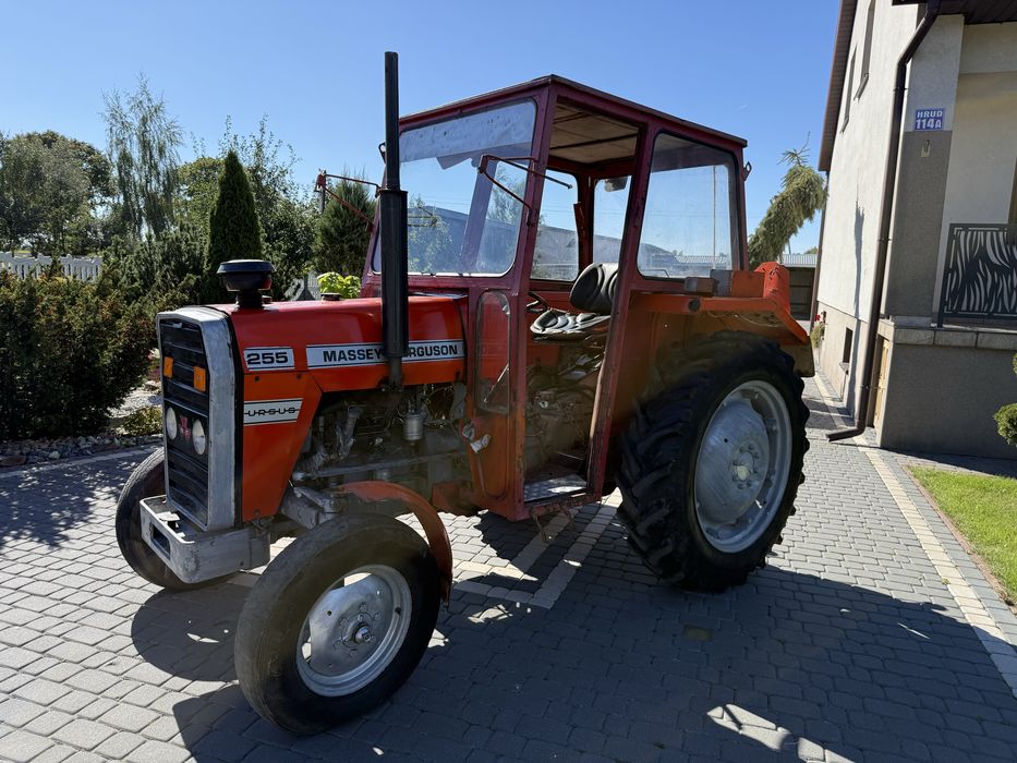 Massey Ferguson 255 *1989 ROK* Zarejstrowany mf255 ursus 3512