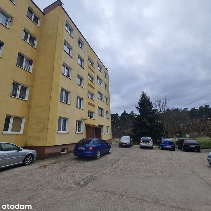 Mieszkanie 60 m2 piwnica garaż i działka. Bobrówko