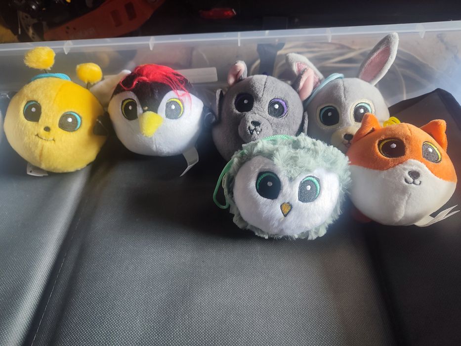 Gang slodziakow edycja pierwsza