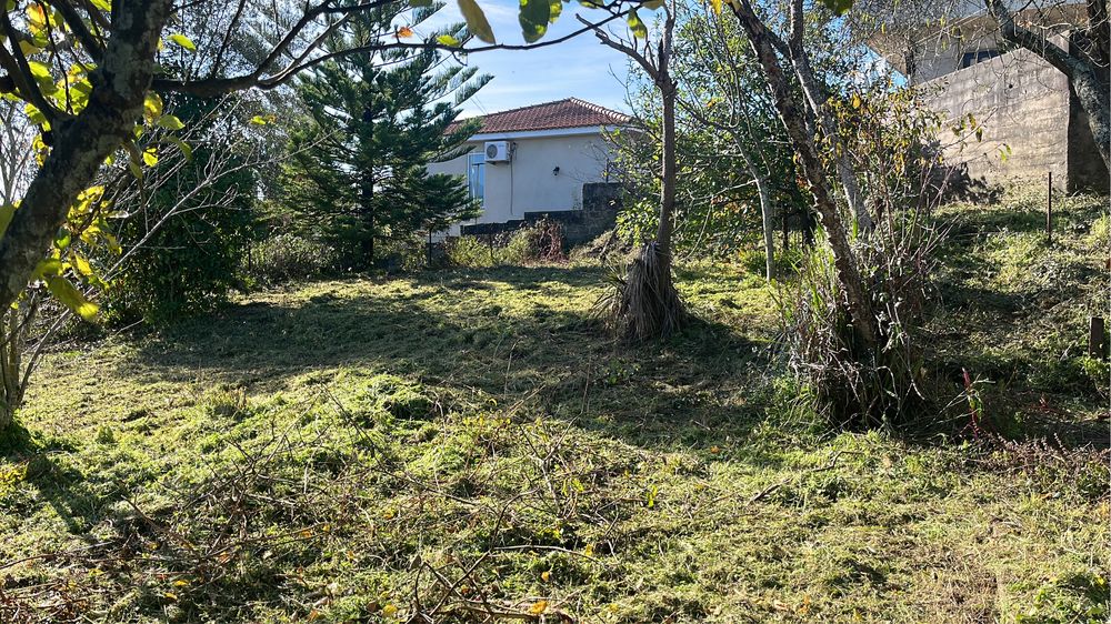 Limpezas de terrenos / desmatação e jardinagem