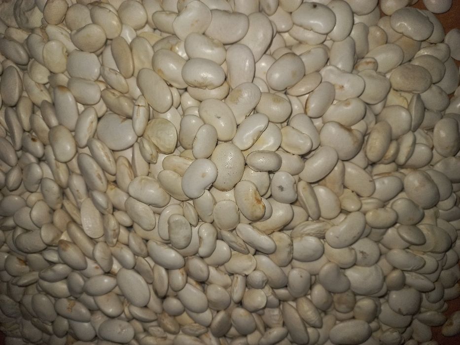 Na grochówke dla teściowej 10KG