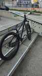 Dirta dartmoor castom