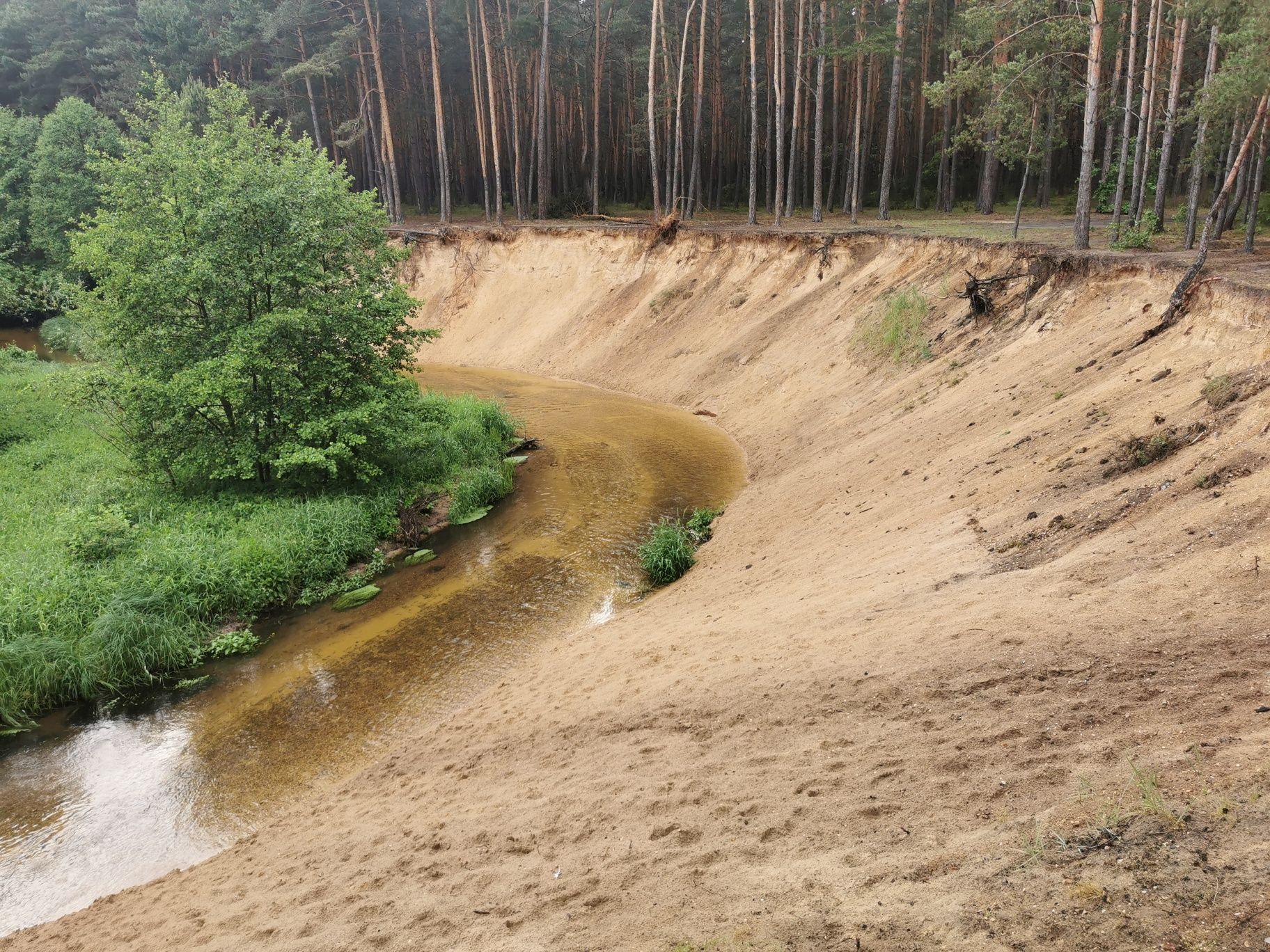 W Leśnym Zaciszu - Domek na Wynajem, Na brzegu Kocinki
