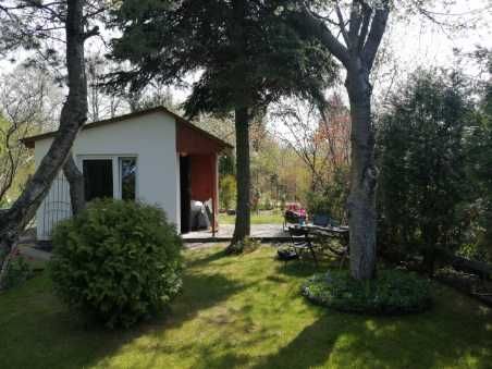 Działka ROD Białołęka Dworska 300m2 SPORO CIENIA/BRAK GAPIÓW/BORÓWKI