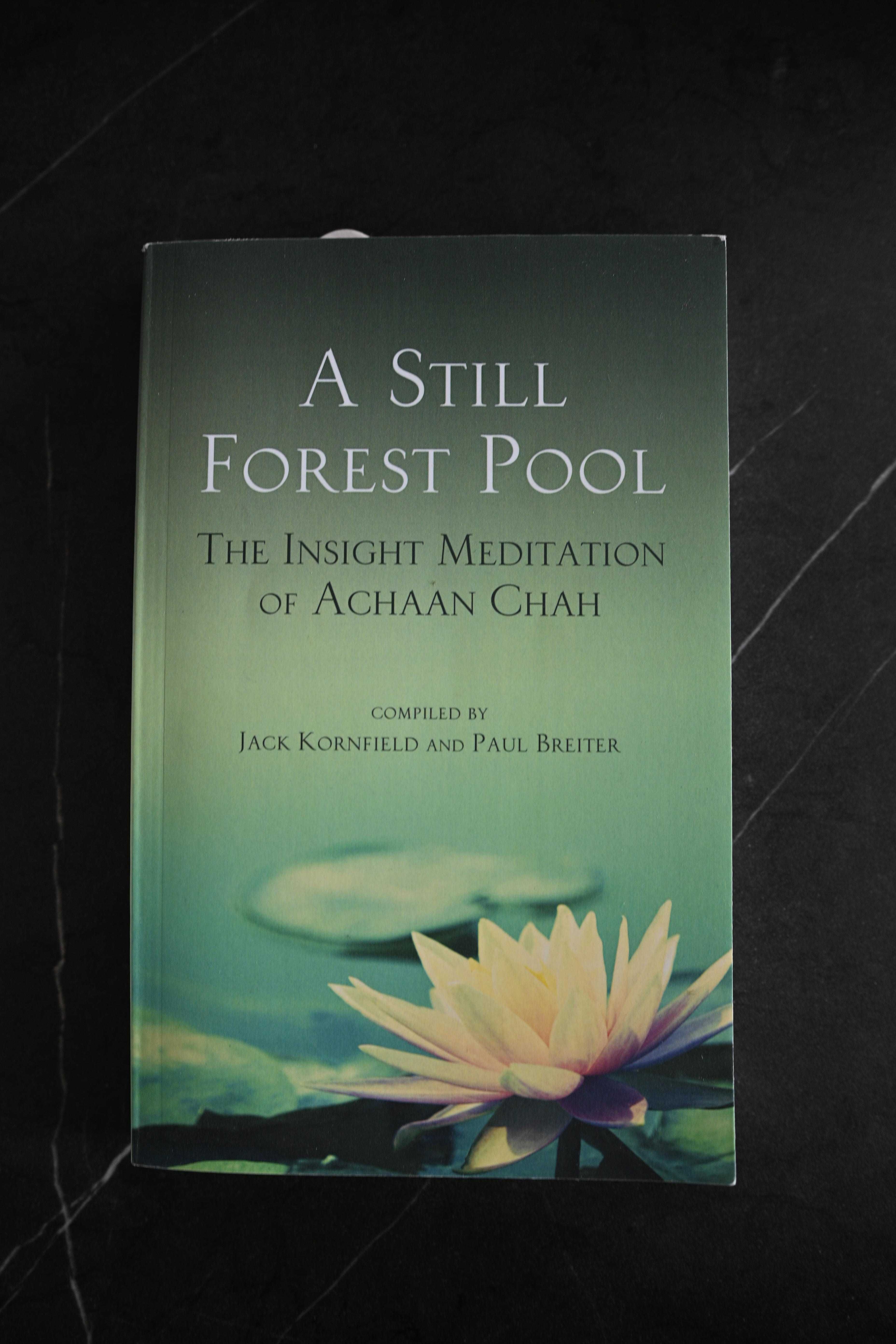 Jack Kornfield - A still forest pool