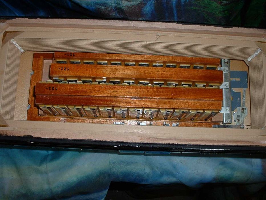 Acordeao Avenda G .747