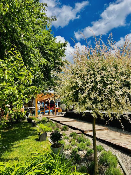 Dom do wynajęcia sauna bania jacuzzi basen na wyłączność, pod lasem