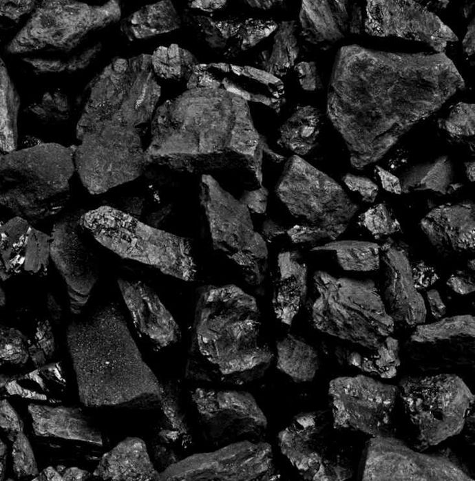 Високоефективні брикети PINI KAY, RUF, NESTRO і пелети — чесна ціна