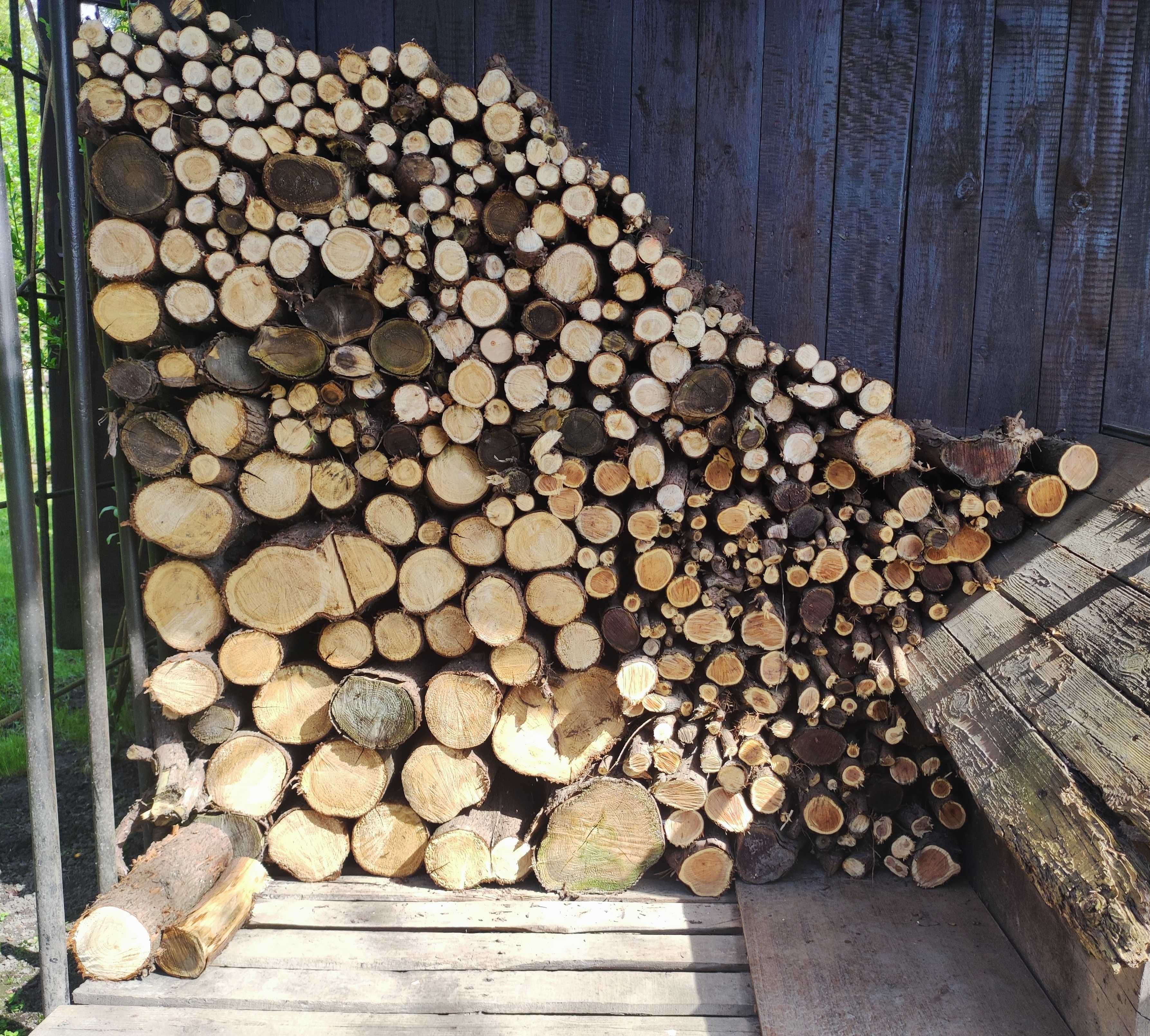 Drewno, rozpałka, suche, pocięte - tuja i cis ok. 1,5 m3
