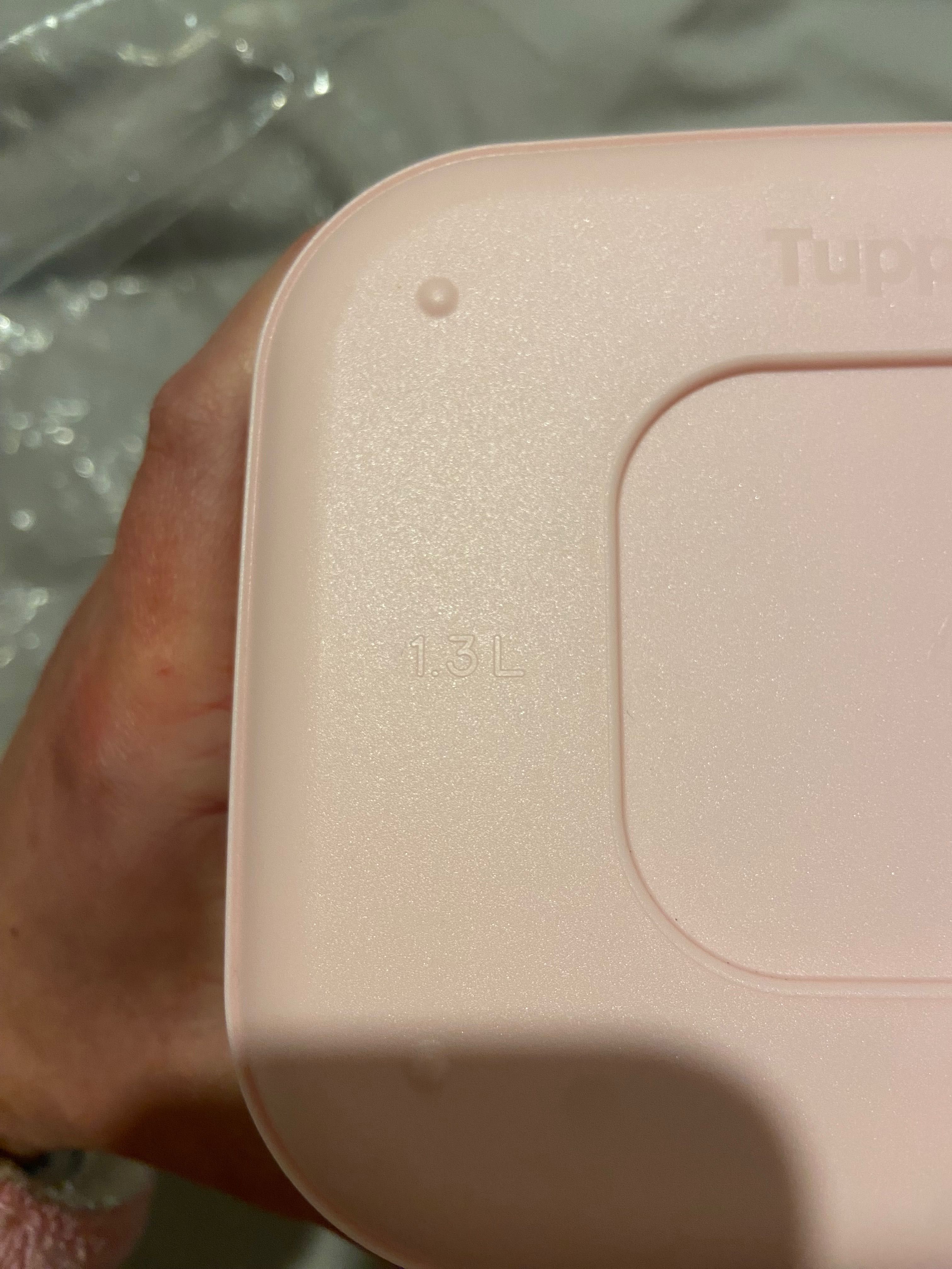 Conjunto de baselines da tupperware