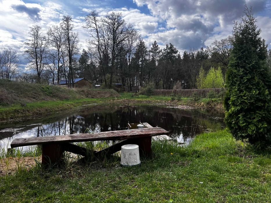 Будинок в м Березань, площа 220 м2, ремонт, ставок, баня, ліс