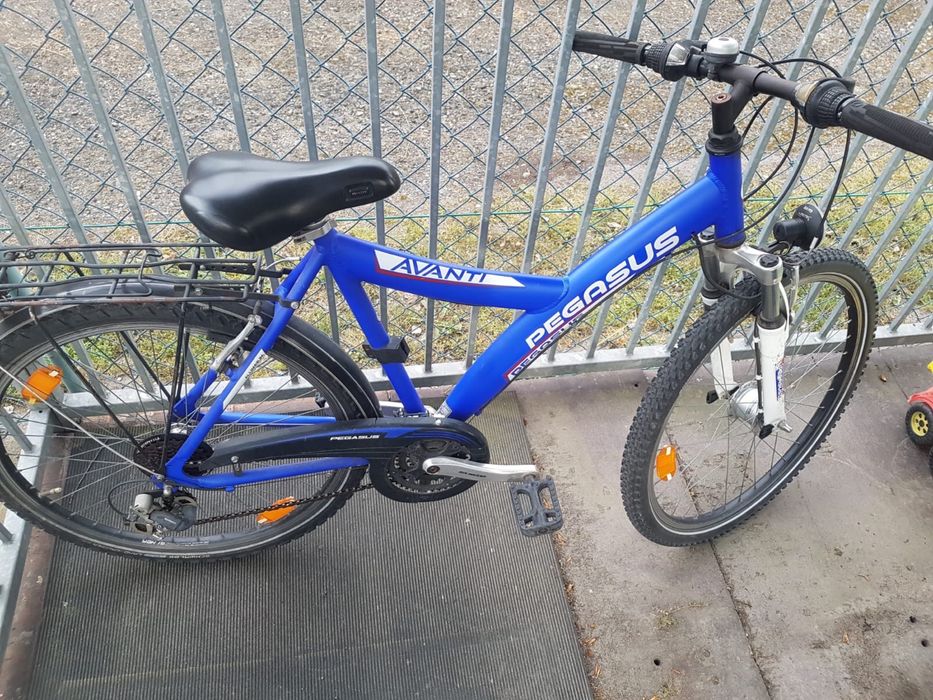 Rower trekingowy Pegasus AVANTI