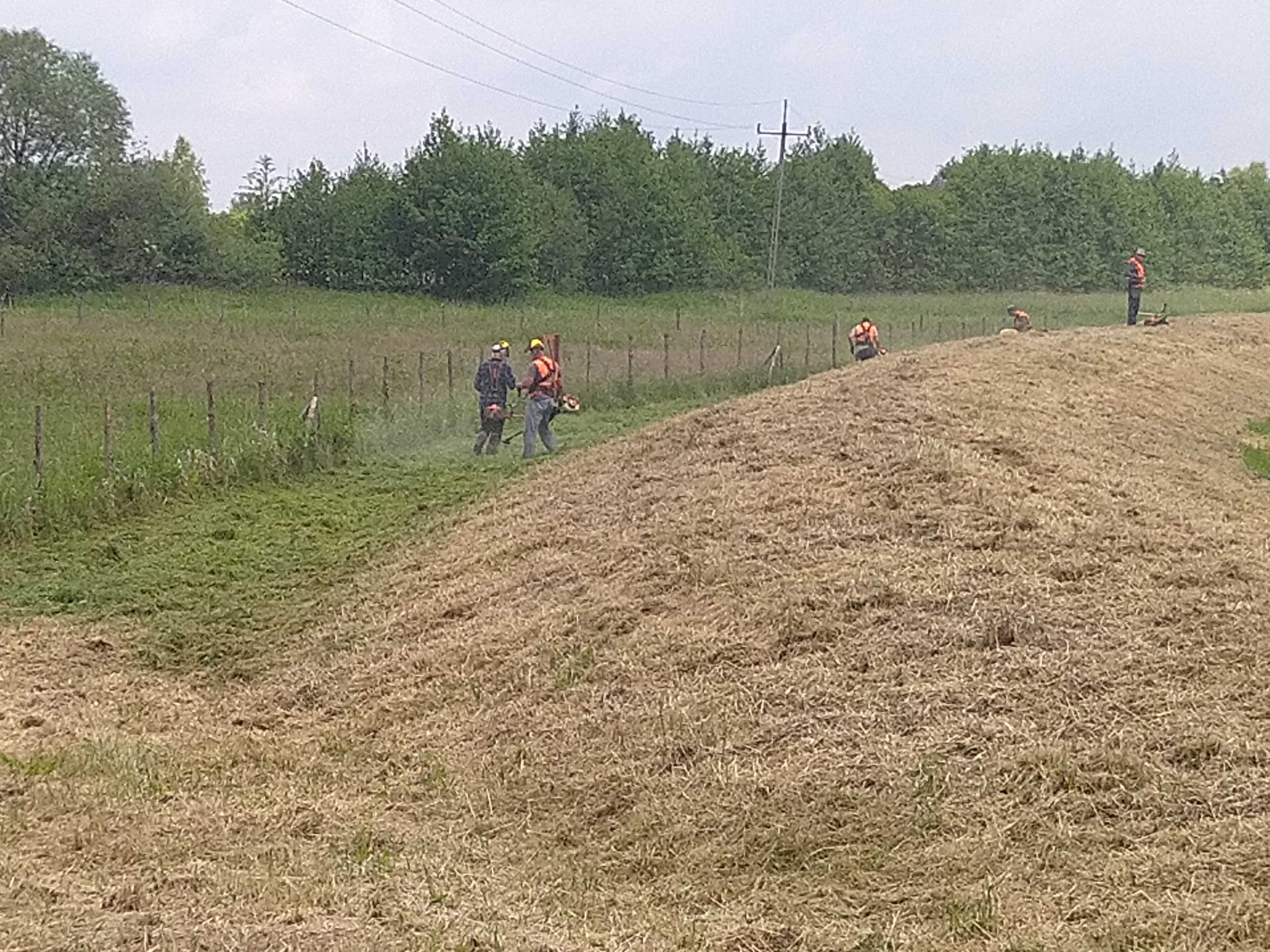 Koszenie traw, nieużytków, kosiarka bijakowa