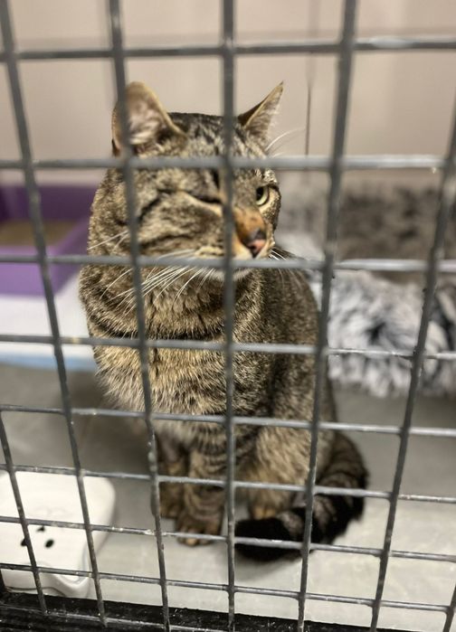 Borys błaga o szansę i dom ...