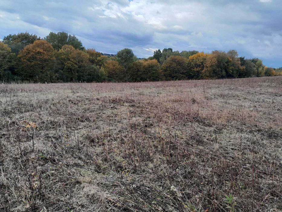 Piękna widokowa działka na przedmieściu Bieszczad